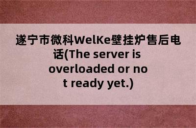 遂宁市微科WelKe壁挂炉售后电话(The server is overloaded or not ready yet.)